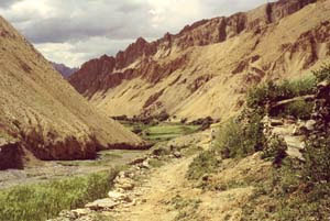 Ladakh Zanskar Trek